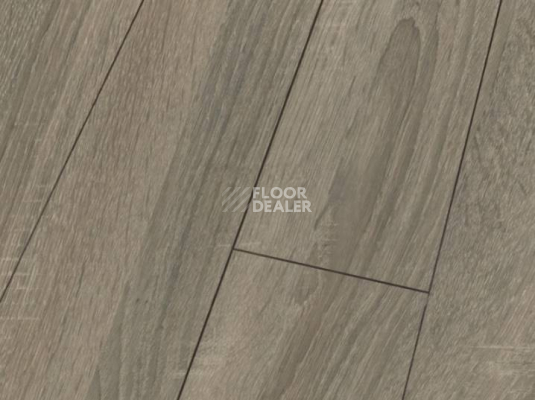 Ламинат Falquon Blue Line Wood 8mm D4186 SONOMA OAK фото 1 | FLOORDEALER